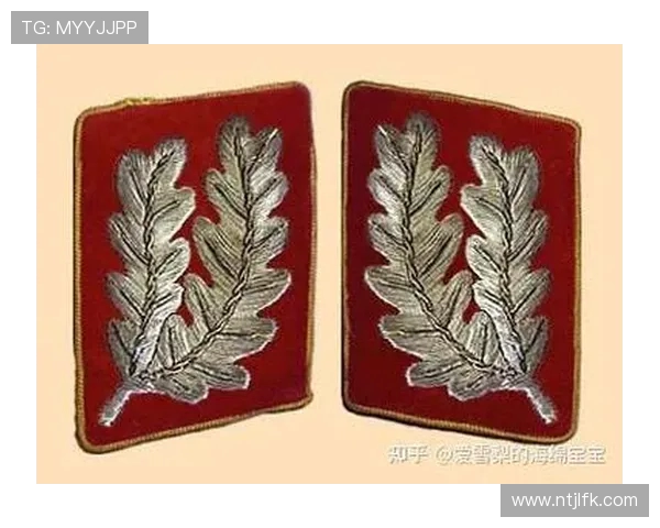 最新版德甲球队称号大全及其由来介绍