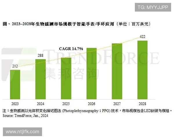 法甲外援市场潜力预估与未来发展路径探讨