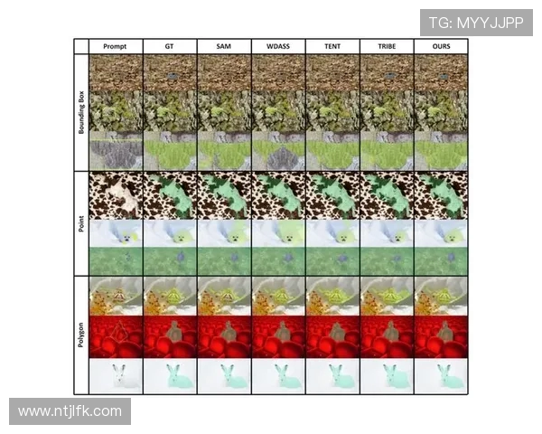 法甲外援适应策略详解：心理、战术与文化三位一体提升法